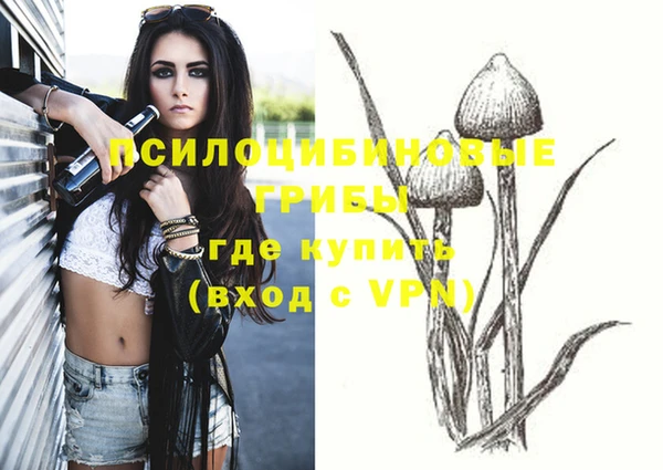 мдпв Навашино