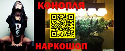 амф Берёзовский