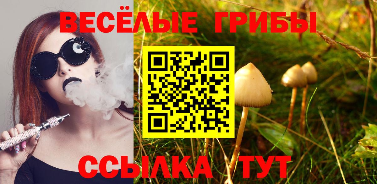Псилоцибиновые грибы Psilocybine cubensis Советский